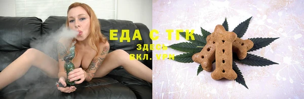 прущие грибы Каменногорск