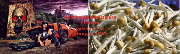 каннабис Касимов