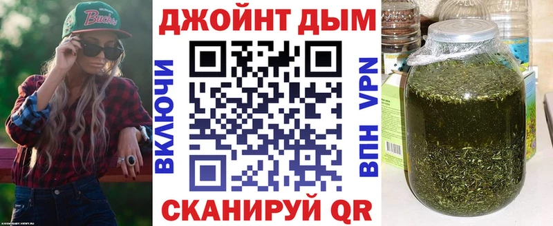 shop наркотические препараты  Киреевск  Конопля сатива  MEGA ТОР 